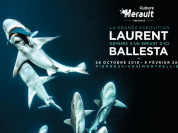 Exposition Laurent Ballesta - Odyssée d'un enfant d'ici