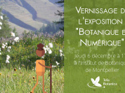 Exposition Botanique et Numérique