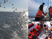 Découvrez la vie marine en Méditerranée à bord du Catamaran Sea Explorer