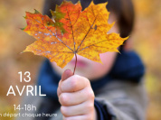 Exposition Les Plantes au rythme des Saisons" au Jardin des Plantes de Montpellier