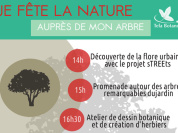 Je fête la Nature auprès de mon Arbre