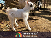 Le Petit Paradis de Vendargues