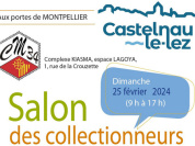 Salon des Collectionneurs de Castelnau-le-Lez