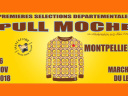 Sélections Départementales du Pull le Plus Moche