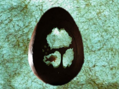 Les p’tits cocos - Théâtre et danse à partir de 3 ans