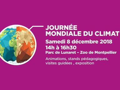 Journée Mondiale pour le Climat