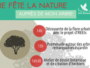 Je fête la Nature auprès de mon Arbre