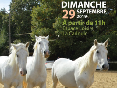 La Journée du Cheval à Vendargues