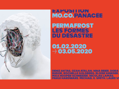 Permafrost Les Formes du Désastre - Exposition au MO.CO. Montpellier Contemporain