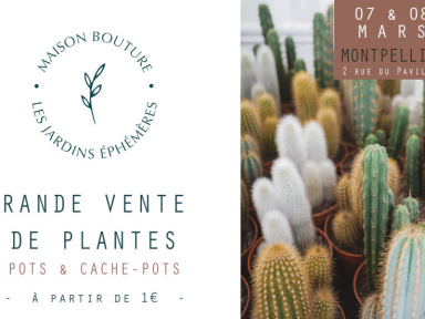 Grande Vente de Plantes - Le Jardin Ephémère de Maison Bouture