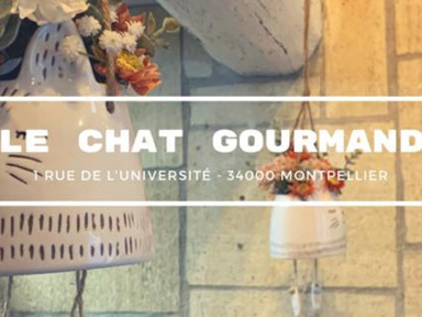 Le Chat Gourmand Montpellier - Salon de Thés & Repaire à Chats