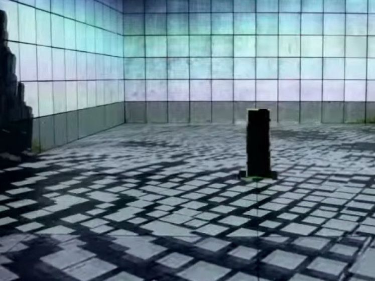 Exposition Collectif Scale - Festival Tropisme 2016