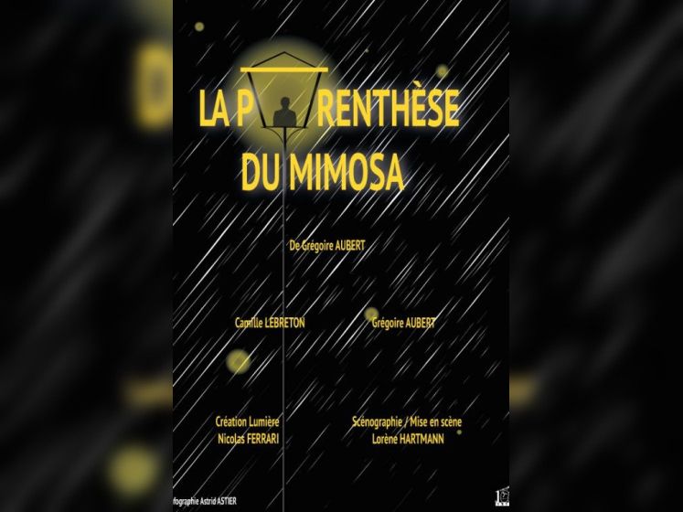 La parenthèse du mimosa