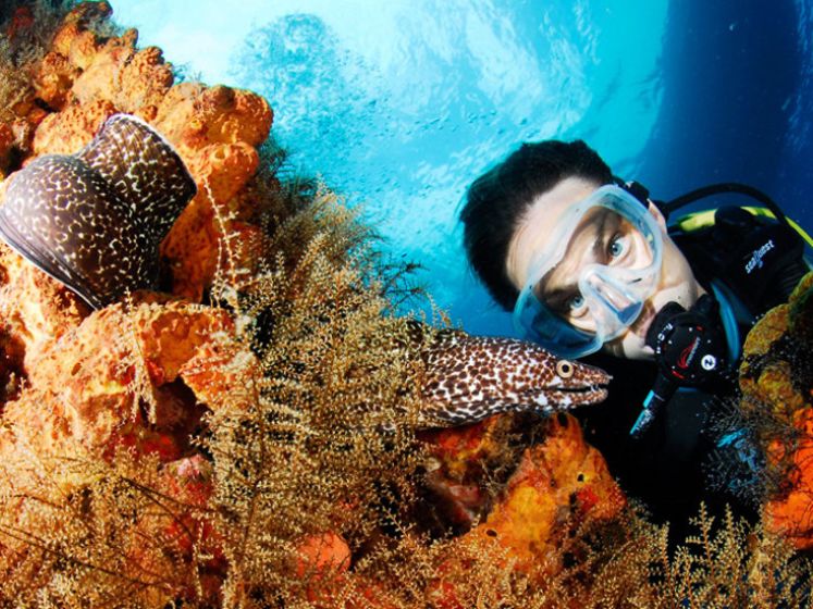 Baptême de Plongée Sous-Marine à Carnon