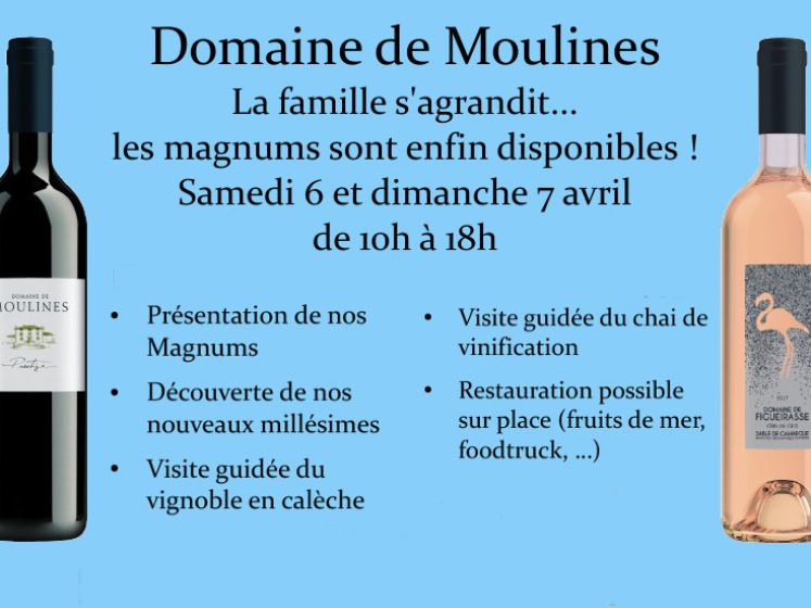 Dégustation de Vins au Domaine de Moulines à Mudaison