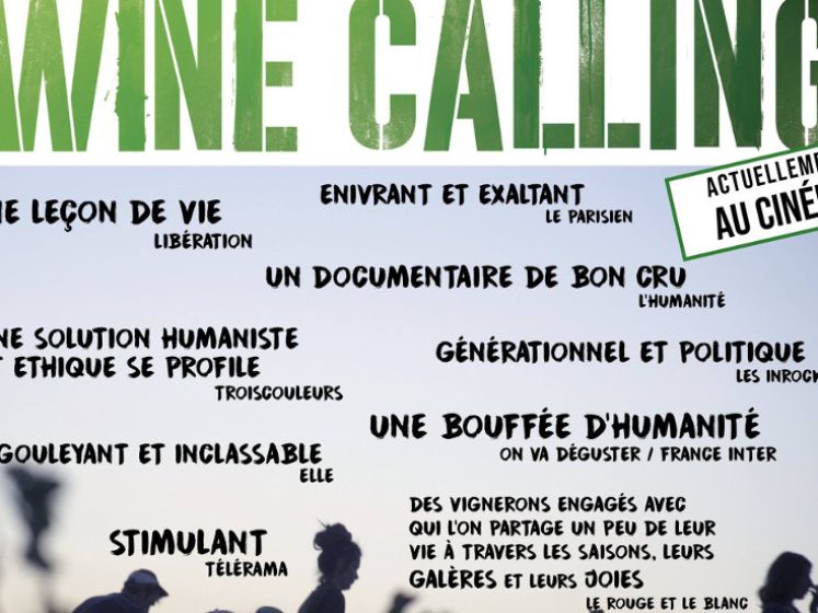 Wine Calling - Cinéma et dégustation de vins à la Halle Tropisme
