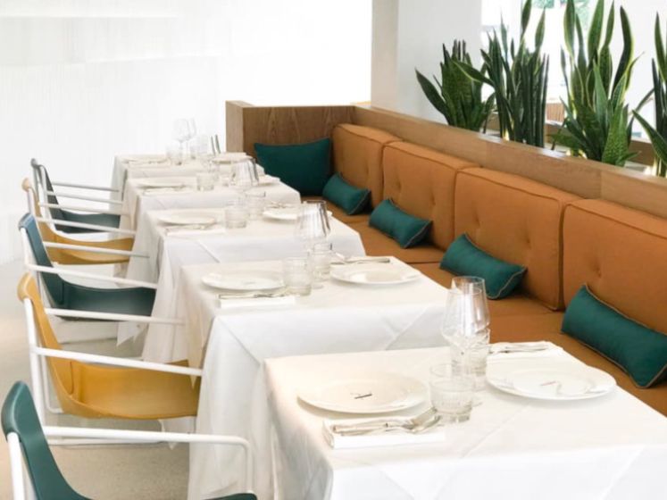 L'Arbre - Bar et Restaurant à Montpellier