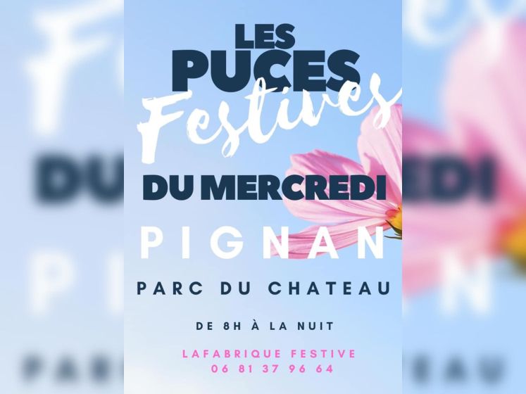 Les Puces festives du mercredi à Pignan