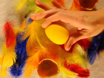 Matin Bulle - Cie Lignes d’oirgine