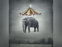 Phénomène Montpellier