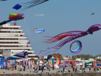 Cerfs Volants en Front de Mer - La Grande Motte