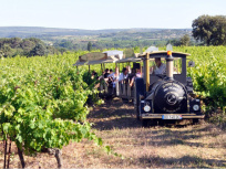 Le Petit train des Vignes