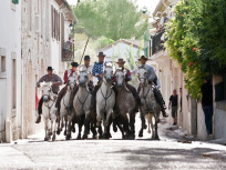 Fête Locale de St Gely du Fesc