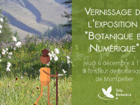 Exposition Botanique et Numérique