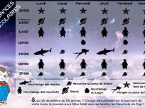 Animations avec T'Choupi pour les Vacances de Noël au Planet Ocean Montpellier