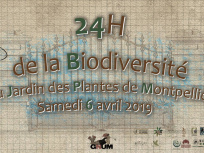 Les 24h de la Biodiversité au Jardin des Plantes de Montpellier