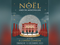 Noël en Grés de Montpellier - Salon des Vins des Grés de Montpellier