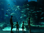 Aquarium Mare Nostrum