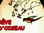Rêve d'oiseau