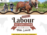 Labour est dans le pré - Saison 3