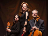 Festival Les Intimistes à Cournonterral