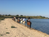 Visite des Salines à Cheval