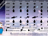 Animations avec T'Choupi pour les Vacances de Noël au Planet Ocean Montpellier