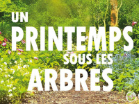 Un Printemps sous les Arbres