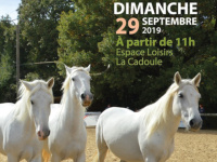 La Journée du Cheval à Vendargues