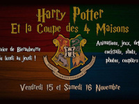 Soirées Harry Potter au Meltdown Montpellier