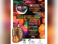 VineLive Festival Winter Edition 2022