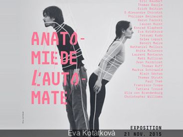 Anatomie de l'automate