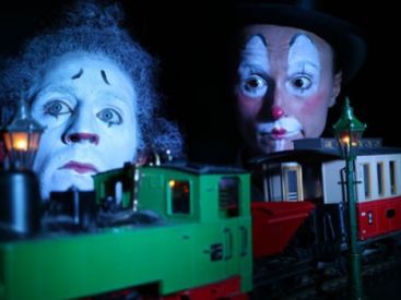  Alpheus Bellulus - CollectiHiHihif