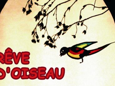 Rêve d'oiseau