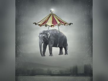 Phénomène Montpellier