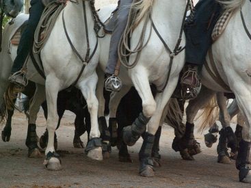 Mini Féria 2018 à St Gély-du-Fesc