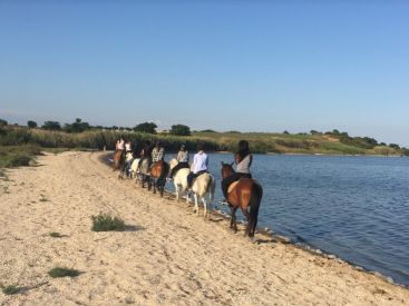 Visite des Salines à Cheval