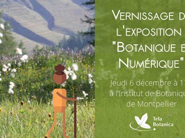 Exposition Botanique et Numérique