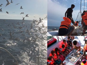 Découvrez la vie marine en Méditerranée à bord du Catamaran Sea Explorer