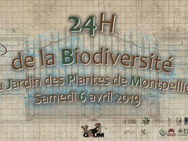 Les 24h de la Biodiversité au Jardin des Plantes de Montpellier